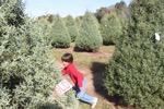 resIMG_20161127_122652_6709.JPG